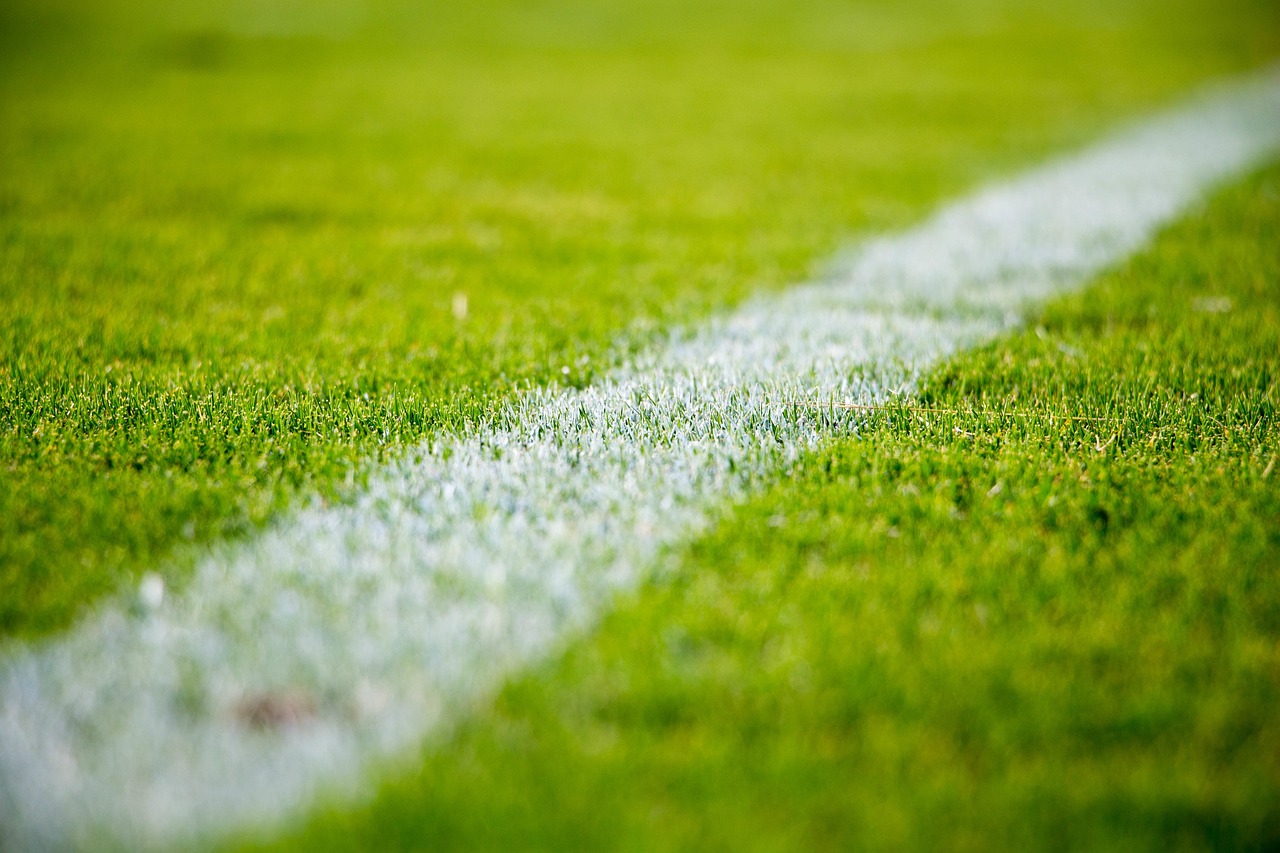 grass, lawn, nature, field, sports, soccer, football, green grass, green football, green sports, green field